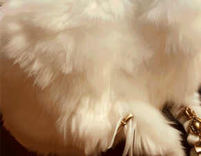 Images fallacieuses, imaginaires émergents : simulations architecturales